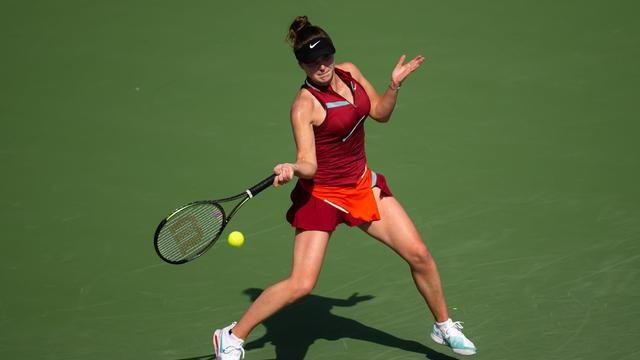  刃牙皮克篇完整版在线 